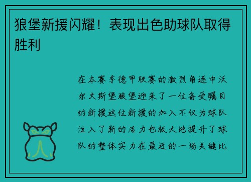 狼堡新援闪耀！表现出色助球队取得胜利