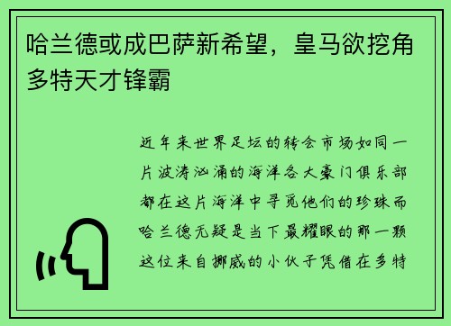 哈兰德或成巴萨新希望，皇马欲挖角多特天才锋霸