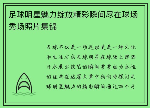 足球明星魅力绽放精彩瞬间尽在球场秀场照片集锦